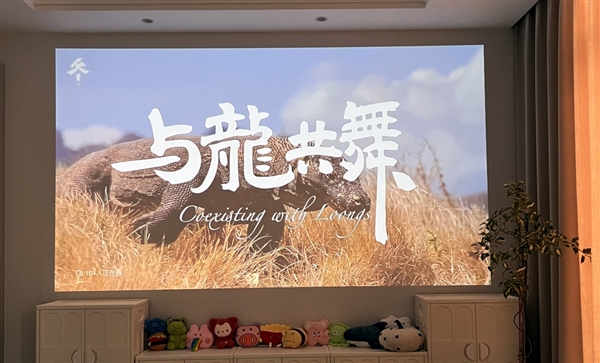 投影仪选购推荐！这四款闭眼入不踩雷尊龙AG网站2025年高性价比卧室(图5)